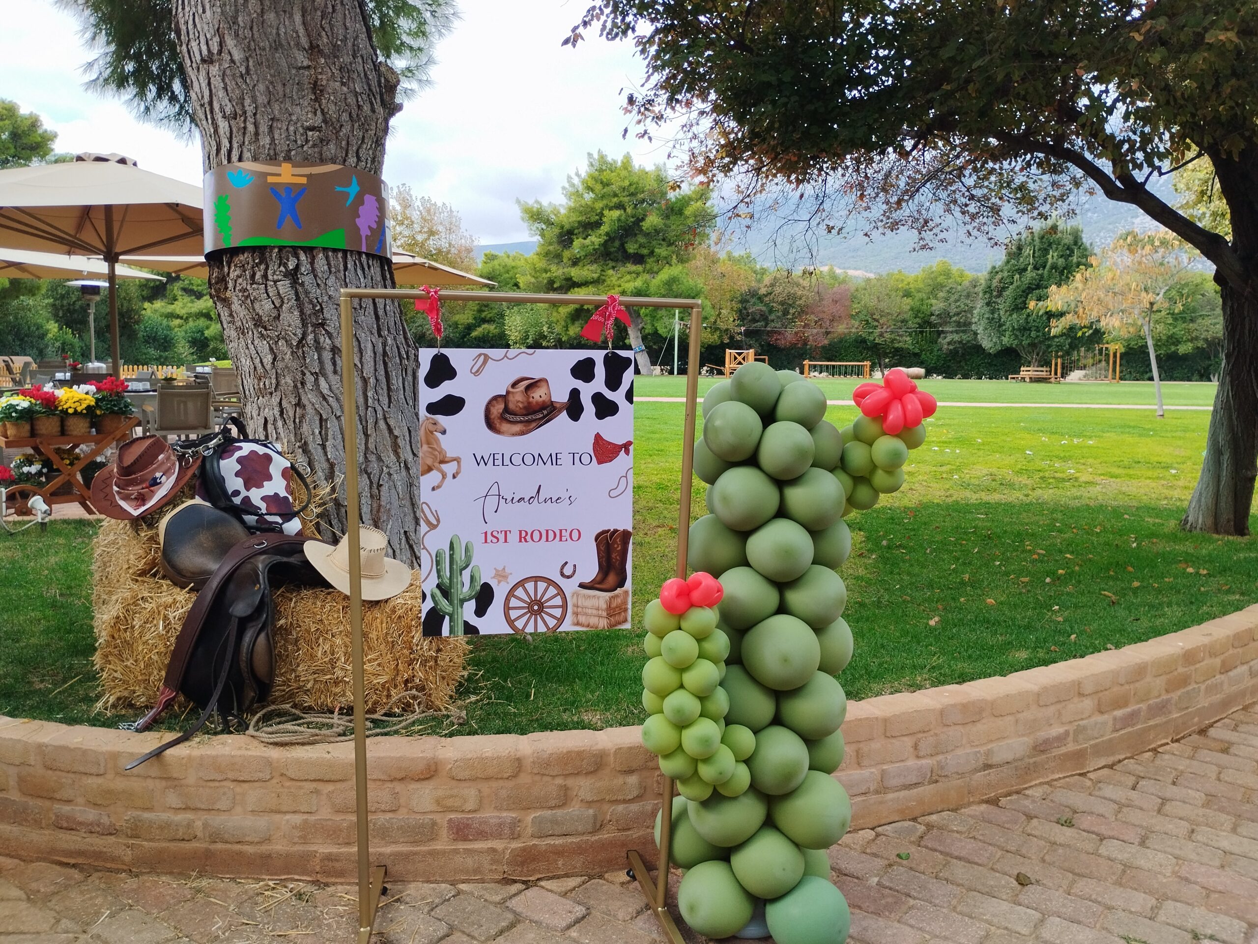 IMG_20251101_111435[1]