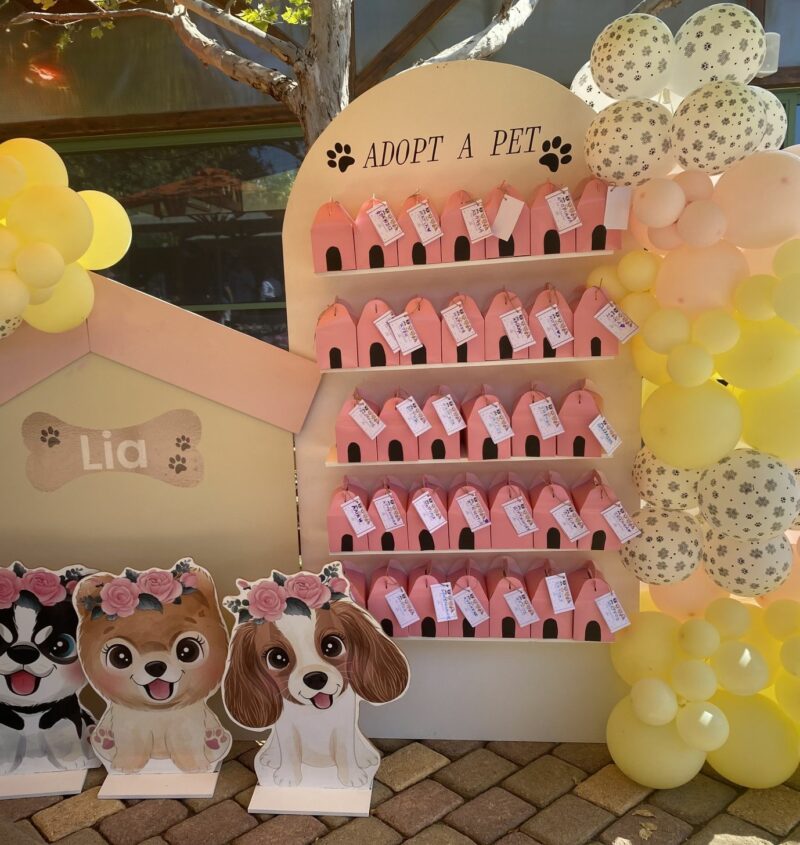 Balloons Adopt a pet